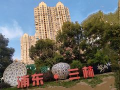 -上海师范大学附属中学(三林校区)