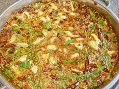 -胖子鱼·油泼甘谷辣子炝活鱼(秦州407店)