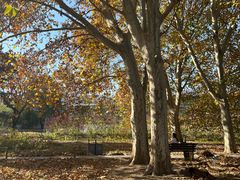 -国家植物园南园