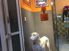 -我爱吾宠宠物美容院(朝阳路店)