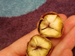 -阿男野栗王(金门路店)