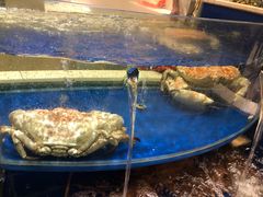 -海景壹号大酒店(滨湖店)