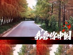 -上海山野camping·户外天幕烧烤·团建拓展营地