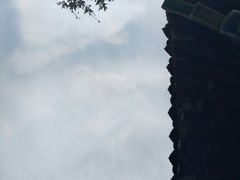 -大港湿地公园