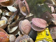 -船梆煮•蒸汽海鲜·炉火烤肉(五四广场店)