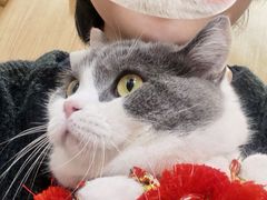 -MOCHA明星猫咖(田子坊店)