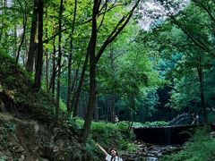 -洛阳白云山景区