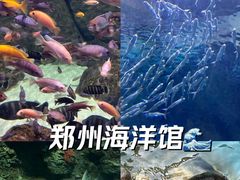 -郑州海洋馆