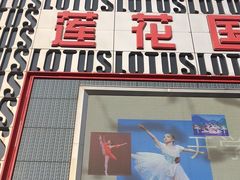 -莲花国际广场