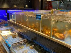 -青蓬蒸汽海鲜·深圳老字号·团建聚会(壹方城店)
