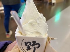 -野人先生现做冰淇淋(北京王府井东方新天地店)