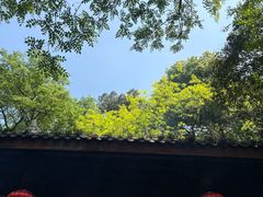 -成都老君山