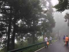 -南岳衡山风景名胜区