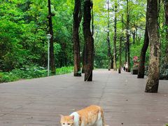 -二沙岛艺术公园