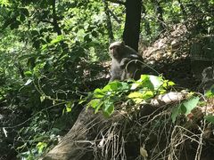 -北京上方山国家森林公园