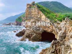 -杨梅坑