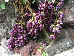 -南通洲际绿博园