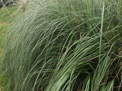 -深圳市人才园(深南大道店)