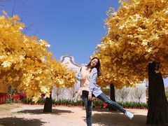 景点-盈香心动乐园