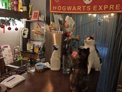 -大象厨房(重庆道店)