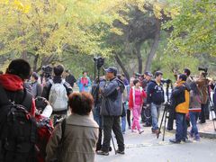 -辽宁大学(崇山校区)