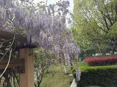 -月湖风景区