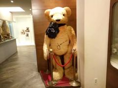 -济州岛泰迪熊博物馆