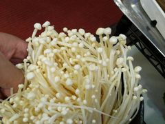 金针菇-五星桥原切肥牛火锅·30年专注好牛肉(怀德桥店)