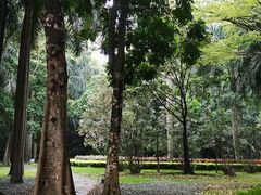 -南宁南湖公园