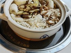 -菌彩云南野生菌火锅(呈贡七彩云南第壹城店)