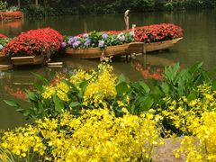 -深圳仙湖植物园