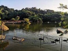 -厦门悦华酒店