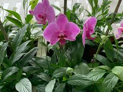 -厦门高崎国际机场-T3航站楼