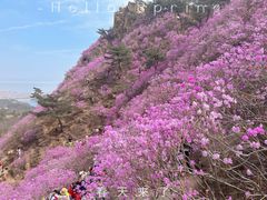 -青岛大珠山景区