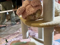 -尚泰清迈机场购物中心