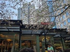 -玛格萝妮比萨屋(四平店)