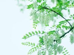 -星美国际影商城(虞景文华店)