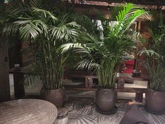 -丹江渔村(首都机场店)