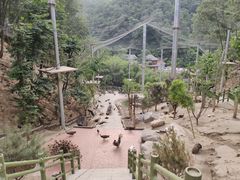 -栾川竹海野生动物园