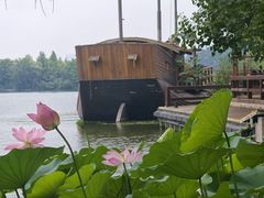 -东湖落雁景区