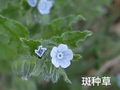 -天坛公园