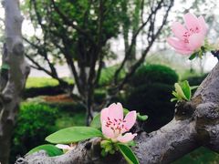 -碧桂园凤凰城酒店(南京店)