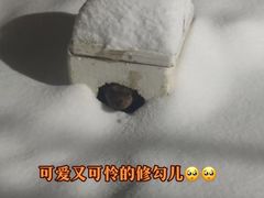 -大吉利·潮汕鲜牛肉火锅(万峰路店)