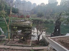 -彝人部落火盆烧烤(原内环足球场店)