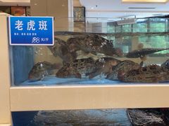 -双井轩(双井店)