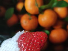 -菜园坝水果市场