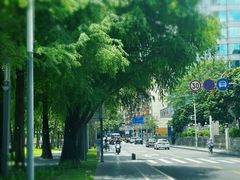 -四海公园(南山区)