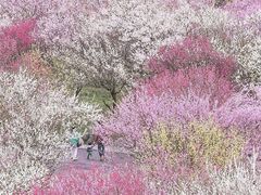 -大七孔景区-天生桥