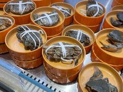 -海底捞大排档火锅(打浦路店)