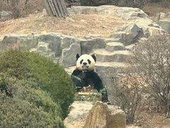 -大连森林动物园